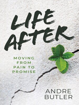 cover image of Life After